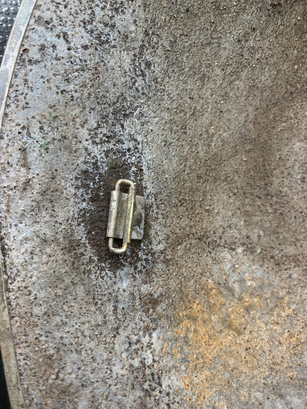 Image #12
