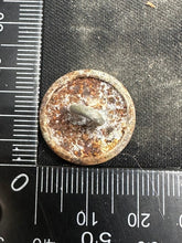 Charger l'image dans la galerie, Image #6
