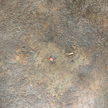 Charger l'image dans la galerie, Image #13
