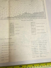 Lade das Bild in den Galerie-Viewer, Image #21
