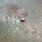 Image #9