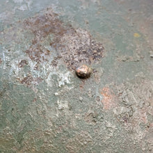 Lade das Bild in den Galerie-Viewer, Image #9
