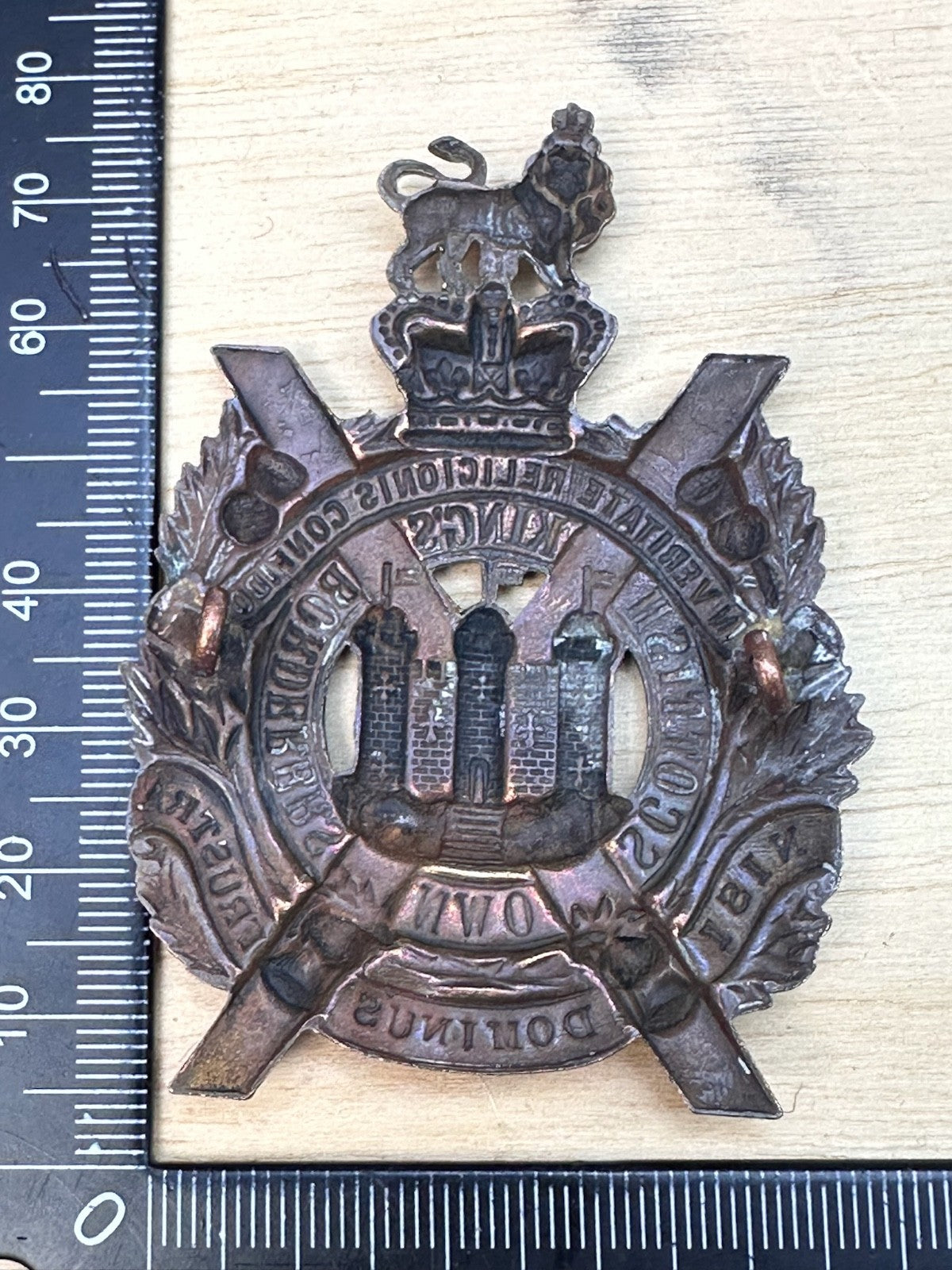 Image #7