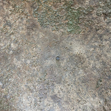 Load image into Gallery viewer, Image #13
