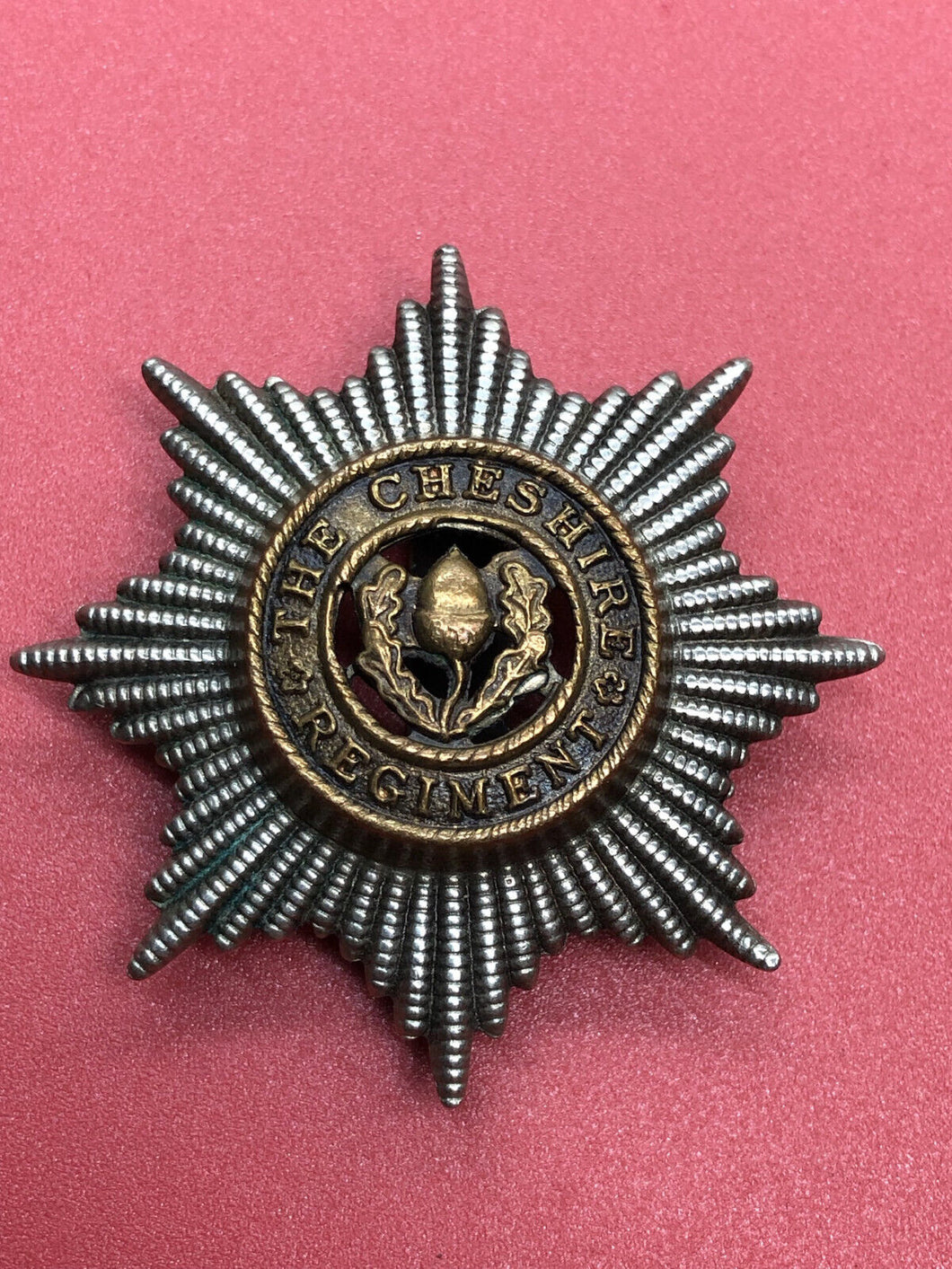 Genuine British Army Cheshire Regiment Cap Badge