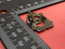 Load image into Gallery viewer, Original WW1 New Zealand Expeditionary Force Collar Badge
