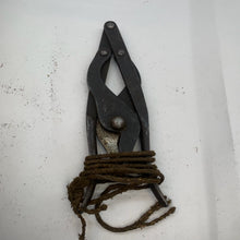 Charger l'image dans la galerie, Image #1
