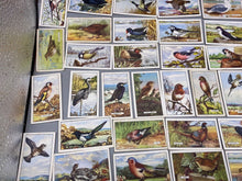 Load image into Gallery viewer, A Group of Gallagher Ltd Cigarette Cards - British Birds
