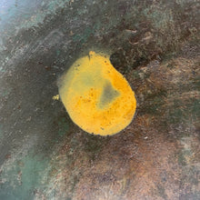 Charger l&#39;image dans la galerie, Image #14
