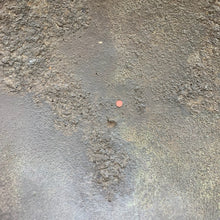 Load image into Gallery viewer, Image #13
