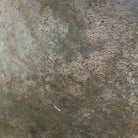 Image #10