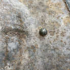 Image #9