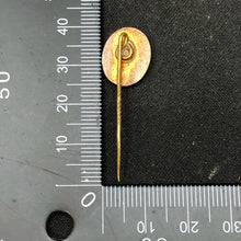 Charger l&#39;image dans la galerie, Image #4
