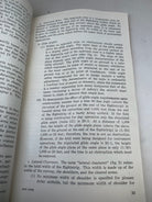 Image #12