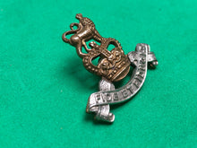 Load image into Gallery viewer, Genuine British Army Royal Army Pay Corps Queen&#39;s Crown Collar Badge
