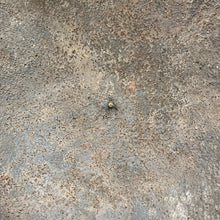 Load image into Gallery viewer, Image #13
