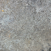 Charger l'image dans la galerie, Image #15
