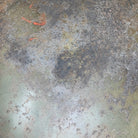 Image #12