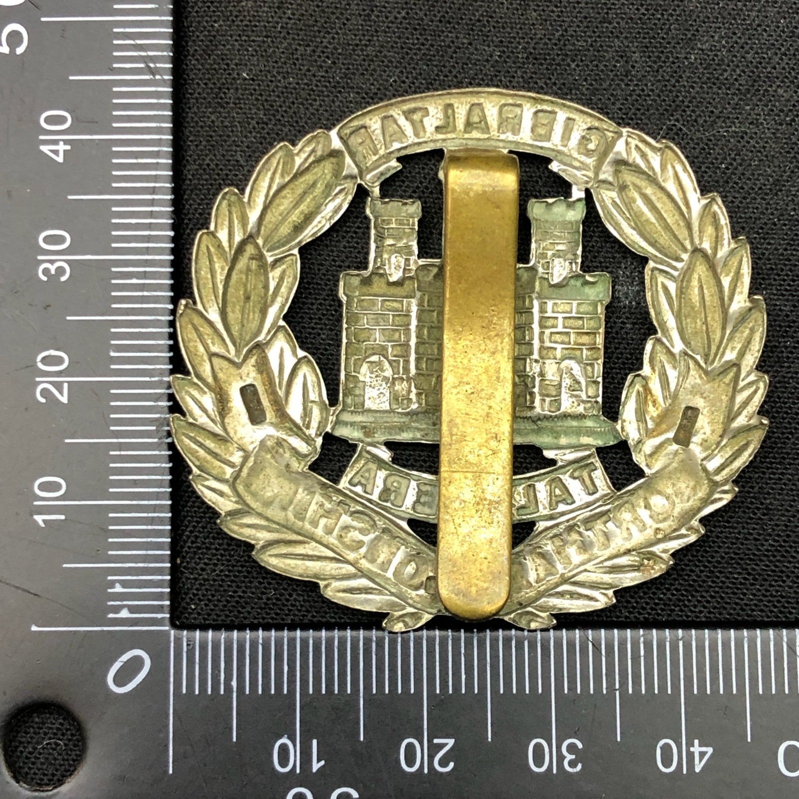 Original British Army Cap Badge - Northamptonshire Regiment - The Militaria Shop