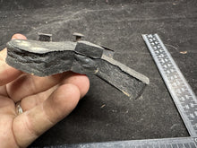 Load image into Gallery viewer, Image #8
