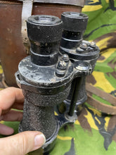 Charger l'image dans la galerie, Image #3
