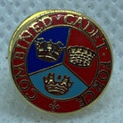 Mixed Listing of British Army Military Cap / Tie / Lapel Pin Badges - Code #166 - The Militaria Shop