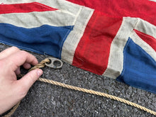 Charger l'image dans la galerie, Image #11
