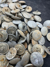 Charger l'image dans la galerie, Image #6
