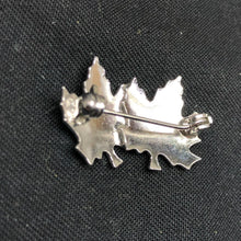 Charger l'image dans la galerie, Image #6
