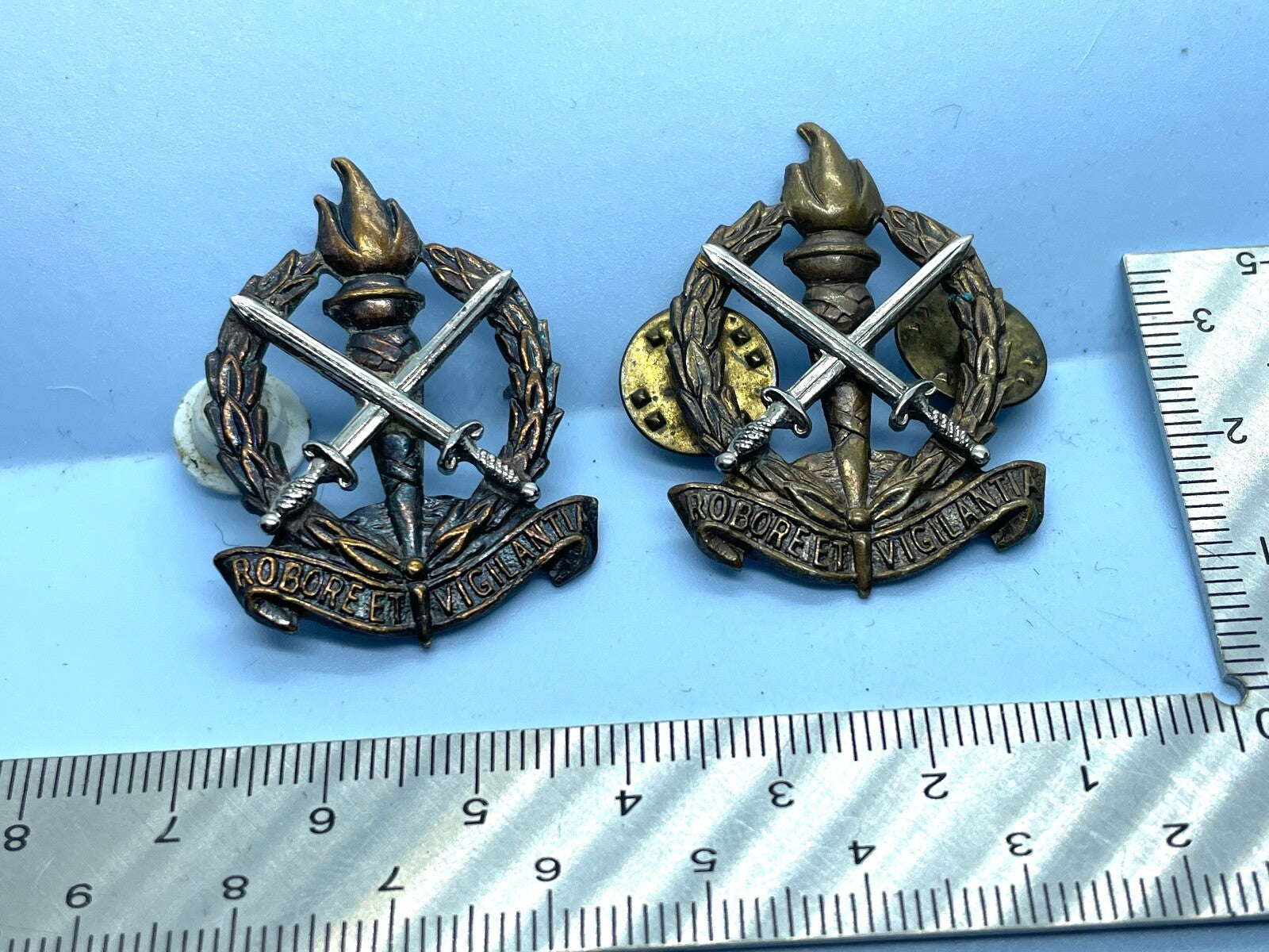 Original Pair of Regiment Skoonspruit (South Africa) Army Collar Badges - The Militaria Shop