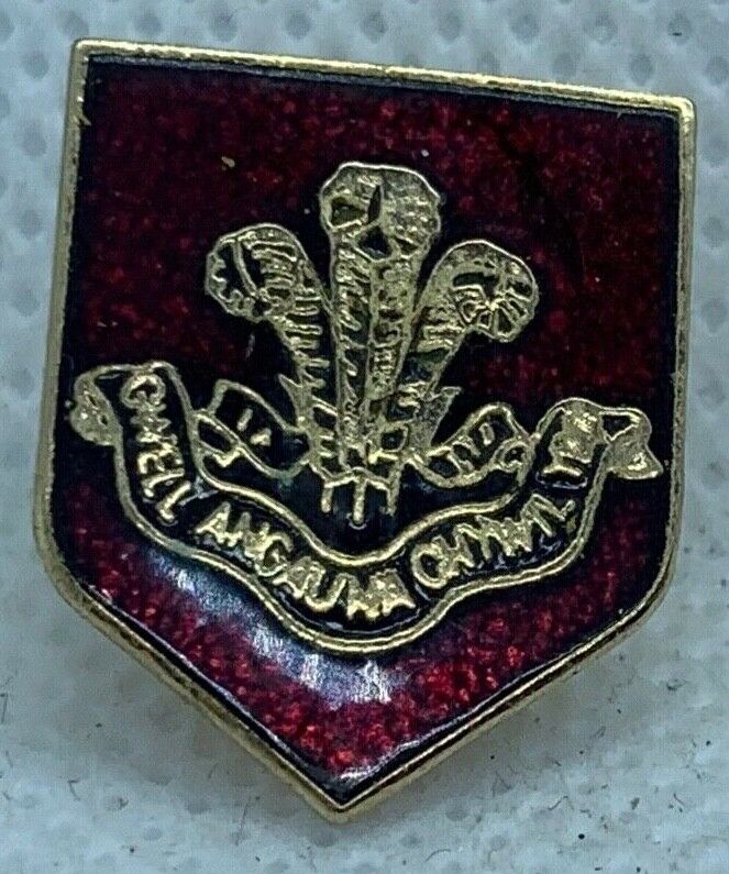 Mixed Listing of British Army Military Cap / Tie / Lapel Pin Badges - Code #166 - The Militaria Shop