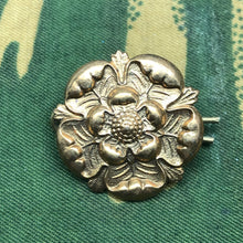 Charger l'image dans la galerie, Image #1
