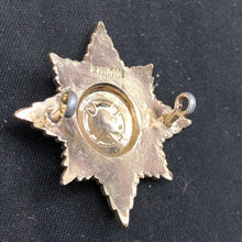 Load image into Gallery viewer, Genuine British Army Staybrite Cap Badge - Irish Guards - The Militaria Shop
