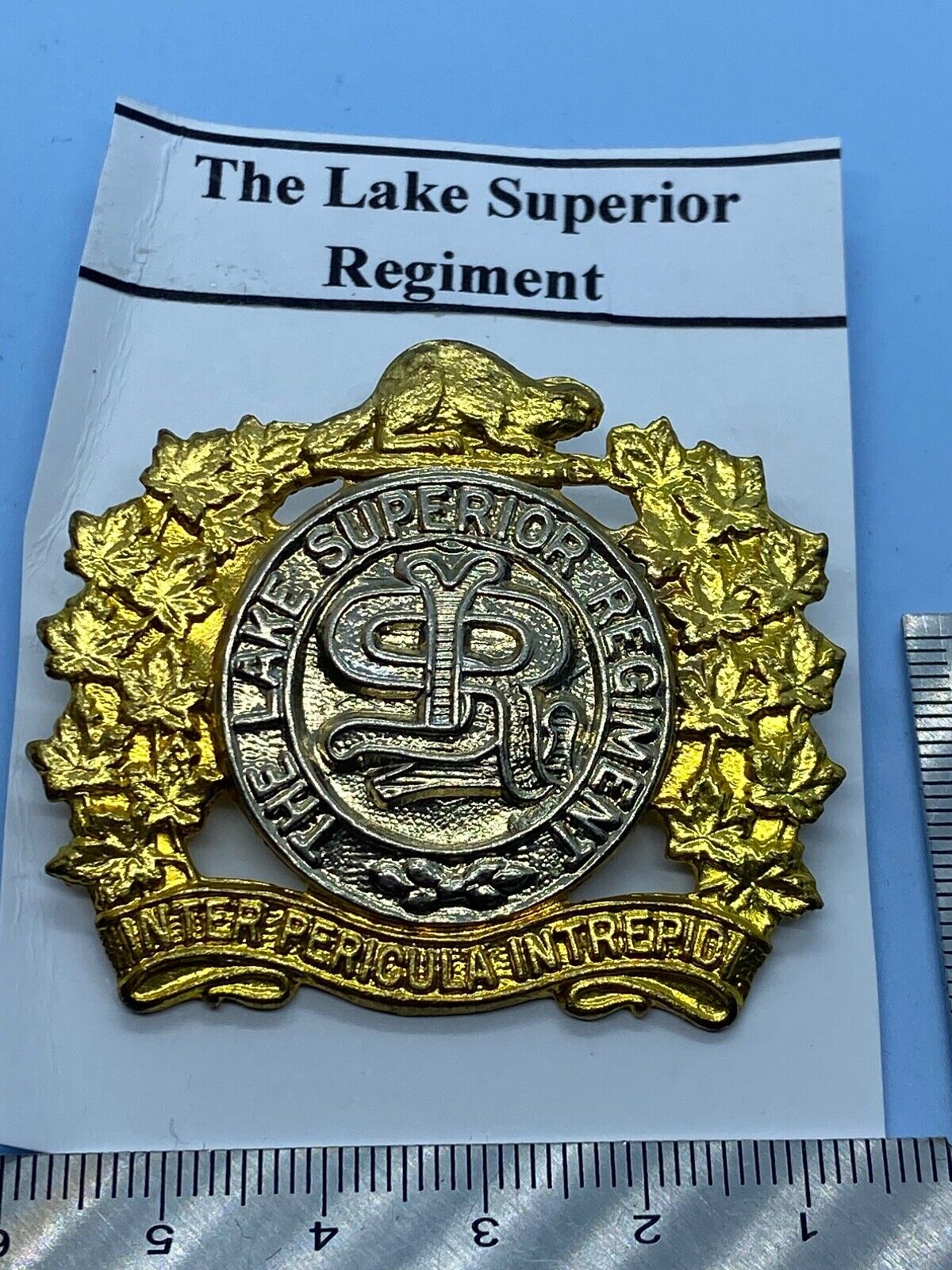 Original Canadian Army The Lake Superior Regiment Cap Badge - The Militaria Shop