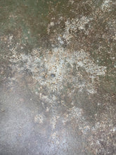 Load image into Gallery viewer, Image #12
