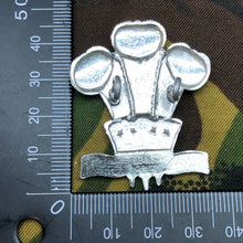 Load image into Gallery viewer, Original British Staybrite Army Cap - Royal Regiment of Wales - The Militaria Shop
