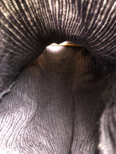 Load image into Gallery viewer, Image #11
