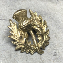 Charger l'image dans la galerie, Image #2
