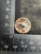 Charger l'image dans la galerie, Image #7
