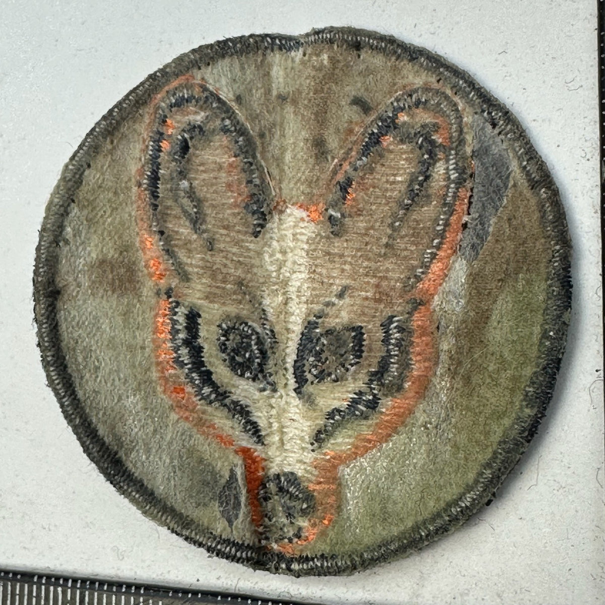 Image #6