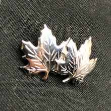 Charger l'image dans la galerie, Image #3
