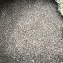 Load image into Gallery viewer, Image #10
