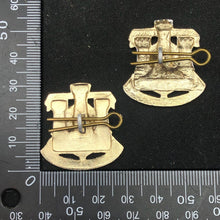 Lade das Bild in den Galerie-Viewer, Original British Collar Badge Pair - Dorset Regiment - The Militaria Shop
