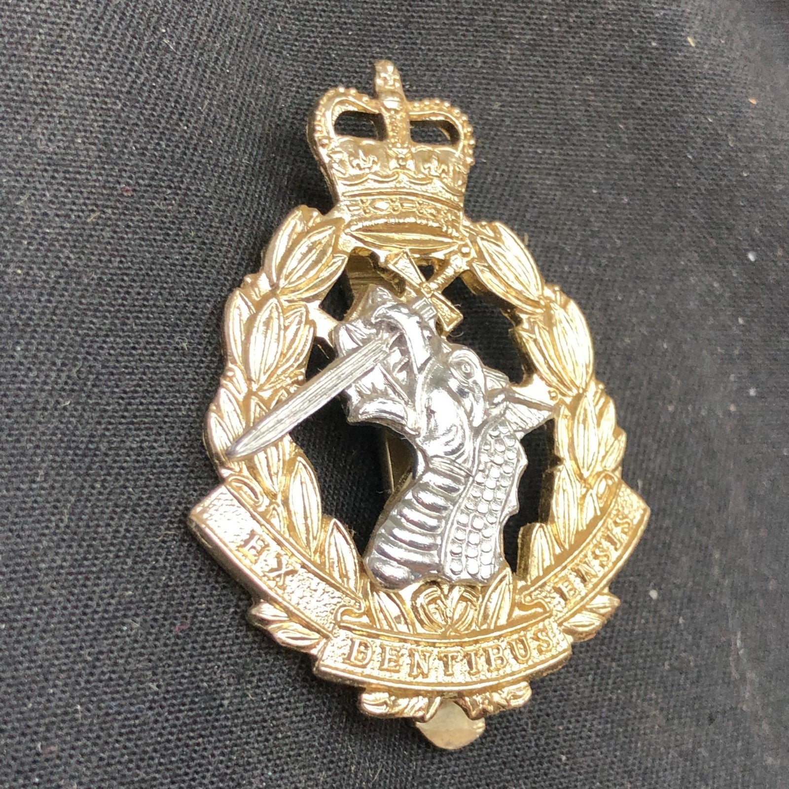 Genuine British Army Cap Badge - Royal Army Dental Corps - The Militaria Shop