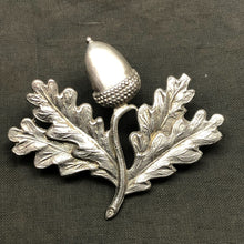 Load image into Gallery viewer, Original British Army Cap/Beret Badge - South Nottinghamshire Hussars - The Militaria Shop
