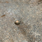 Image #9
