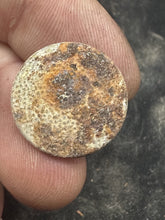 Charger l'image dans la galerie, Image #2
