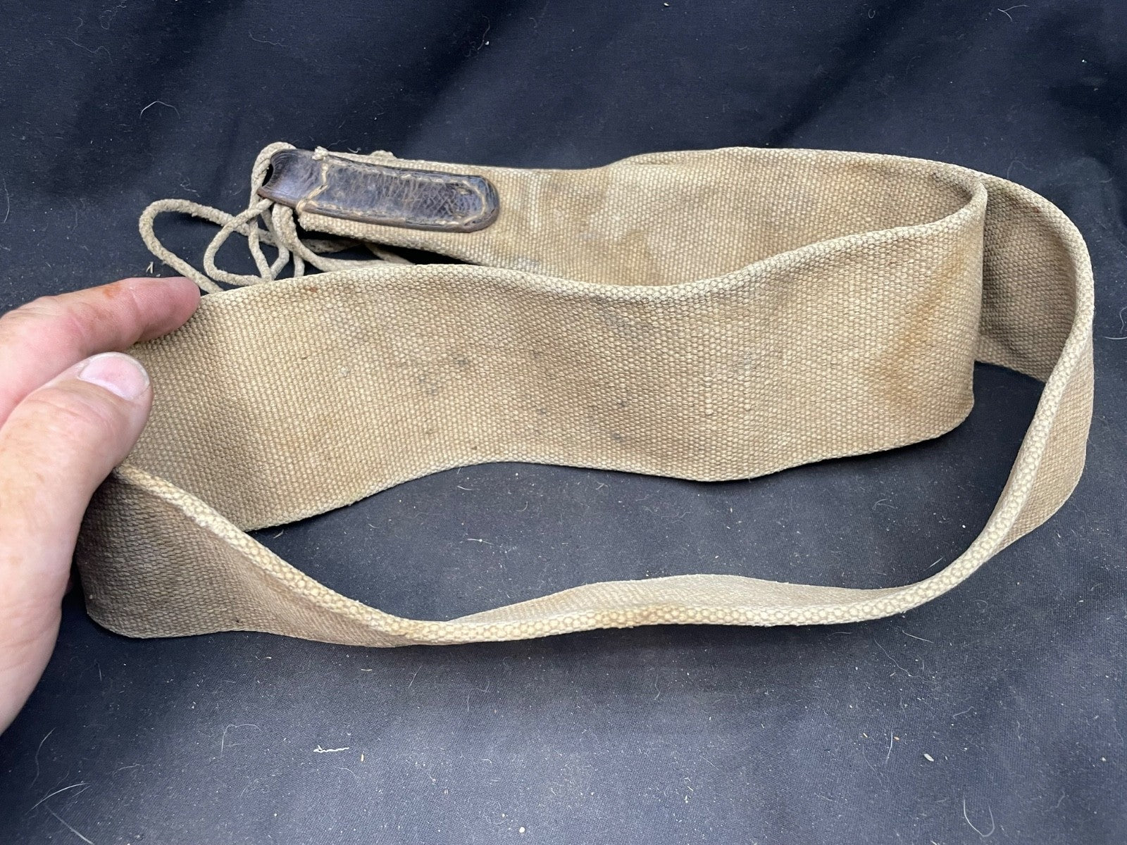 Image #15