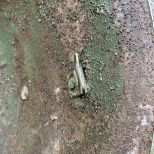 Charger l'image dans la galerie, Image #13
