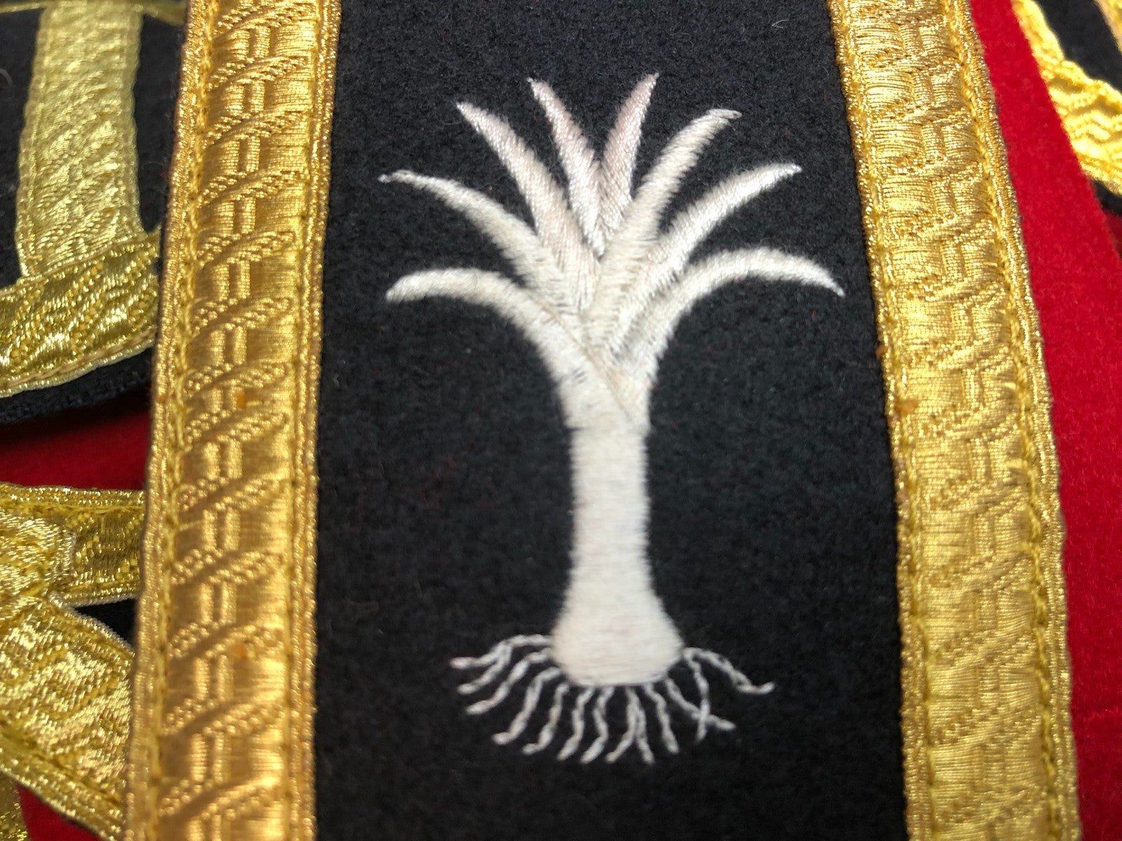 Image #6